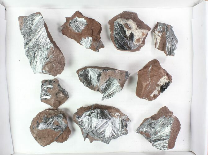 Lot: Metallic Pyrolusite on Matrix - Pieces #78038